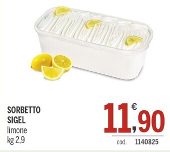 Elefante Cash & Carry SORBETTO SIGEL limone kg 2,9 offerta