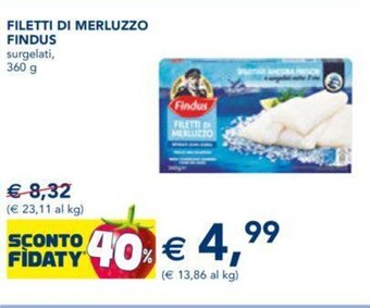 Esselunga FILETTI DI MERLUZZO FINDUS surgelati, 360 g offerta