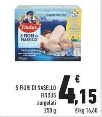 Conad City 5 FIORI DI NASELLO FINDUS surgelati 250 g offerta