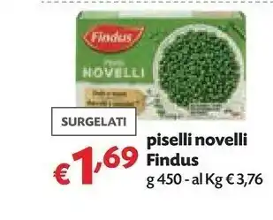 Pam Findus Piadine offerta