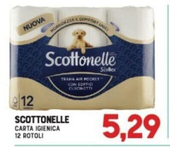 Gran Risparmio SCOTTONELLE CARTA IGIENICA 12 ROTOLI offerta