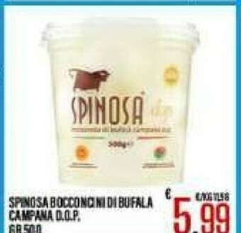 Gros Spinosa Mozzarella di bufala offerta