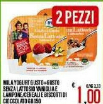 Gros Mila Yogurt offerta
