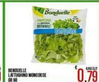 Gros Bonduelle Insalata offerta