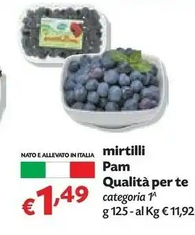 Pam Pan Qualita Per Te Mirtilli offerta