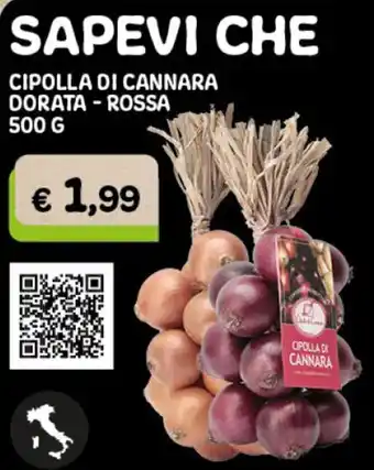 Gala Supermercati SAPEVI CHE CIPOLLA DI CANNARA DORATA-ROSSA 500 G offerta
