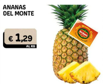 ANANAS DEL MONTE