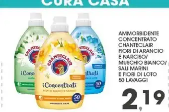 Conad Palette colorazione permanente oleo intense offerta