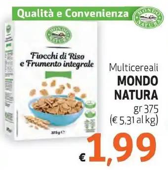 Maxi Family Multicereali MONDO NATURA gr 375 offerta
