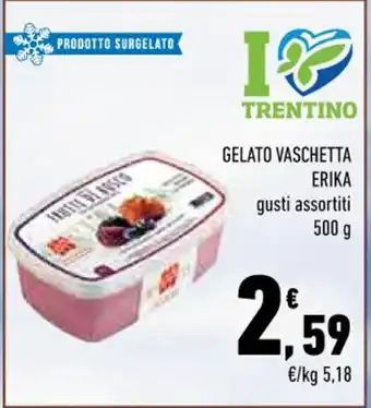 GELATO VASCHETTA ERIKA 500 g