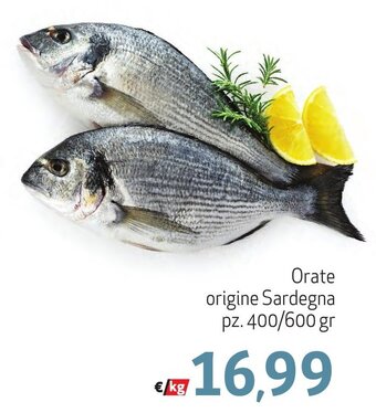 Orate origine Sardegna pz. 400/600 gr