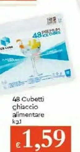Roncadin 48 Cubetti Ghiaccio Alimentare