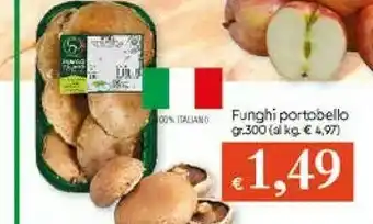 Galassia Funghi Portobello 300 Gr offerta