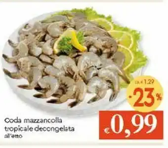Galassia Coda Mazzancolla Tropicale offerta
