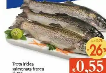 Galassia Trota Iridea Salmonata Fresca offerta