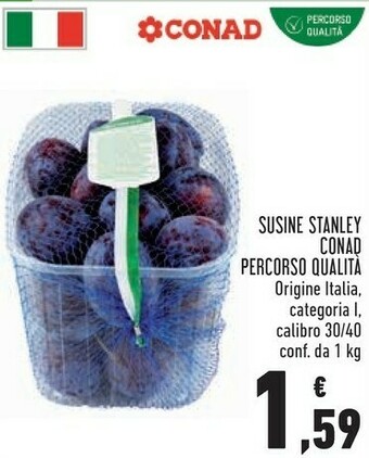 Conad Conad Susine Stanley offerta