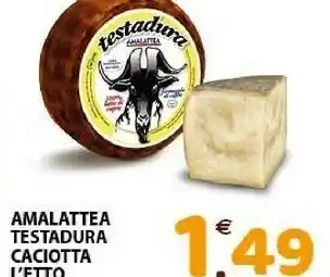 Amalattea Testadura Caciotta