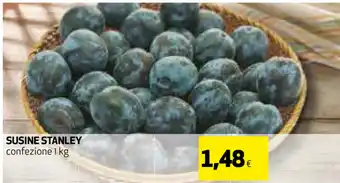 Stanley Susina 1kg