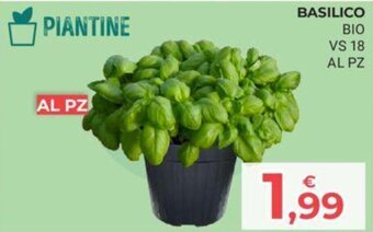 Eté BASILICO BIO VS 18 offerta