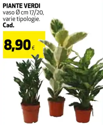 Coop Piante Verdi Cad. offerta