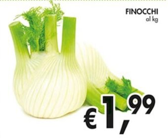 Coal FINOCCHI offerta