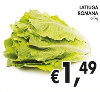 Coal LATTUGA ROMANA offerta
