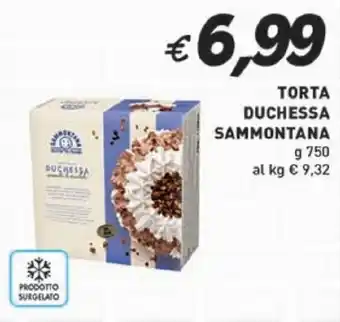 Superstore Coal TORTA DUCHESSA SAMMONTANA g 750 offerta
