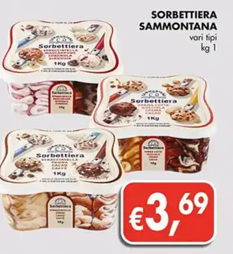 Coal SORBETTIERA SAMMONTANA kg 1 offerta