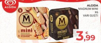Eté ALGIDA MAGNUM MINI X6 VARI GUSTI offerta