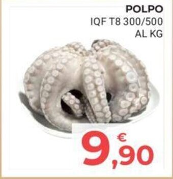 POLPO IQF T8 300/500