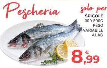 SPIGOLE 300-500G