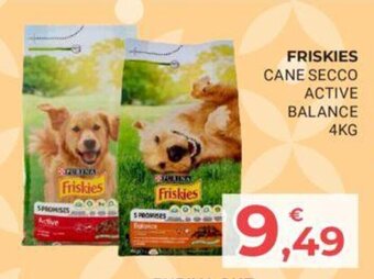 Eté FRISKIES CANE SECCO ACTIVE BALANCE 4KG offerta