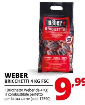 Comet Weber bricchetti 4 kg fsc offerta