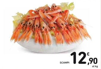 Spazio Conad SCAMPI offerta