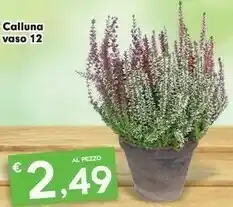 Despar Colluna Vaso offerta