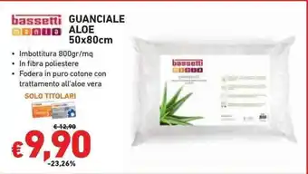 Conad Superstore GUANCIALE ALOE 50x80cm offerta