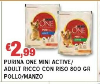 Europlanet Casa Purina Cibo per cani offerta