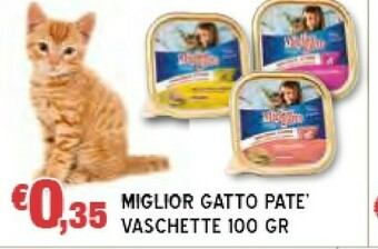 Cibo per gatti