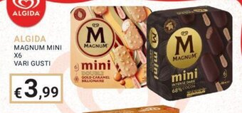 Eté ALGIDA MAGNUM MINI X6 VARI GUSTI offerta