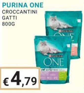 Eté PURINA ONE CROCCANTINI GATTI 800G offerta