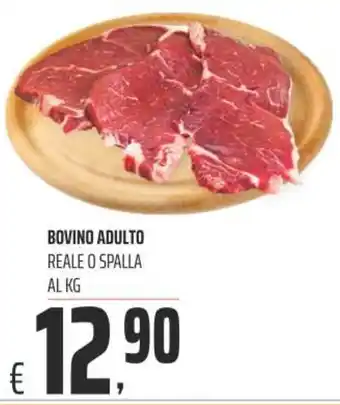 Coop Superstore BOVINO ADULTO REALE O SPALLA AL KG offerta