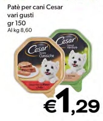 Patè per cani Cesar vari gusti gr 150