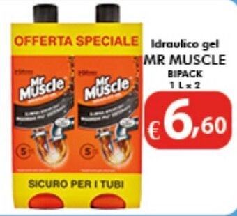 Bernava Idraulico gel MR MUSCLE BIPACK 1 Lx2 offerta