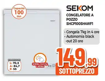 SEKOM CONGELATORE A POZZO SHCP100SH4WF1