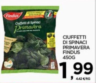 Interspar CIUFFETTI DI SPINACI PRIMAVERA FINDUS 450G offerta