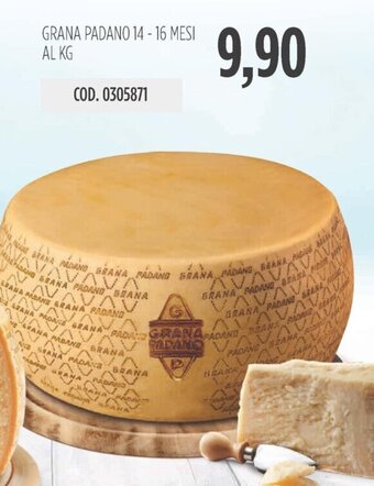 Carico Cash & Carry GRANA PADANO 14 - 16 MESI AL KG offerta