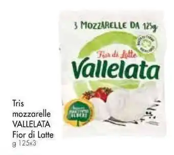 Galassia Tris mozzarelle VALLELATA Fior di Latte g 125x3 offerta