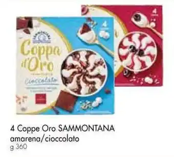 Galassia 4 Coppe Oro SAMMONTANA amarena/cioccolato g 360 offerta