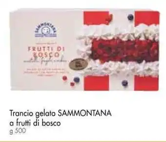 Galassia Trancio gelato SAMMONTANA a frutti di bosco g 500 offerta
