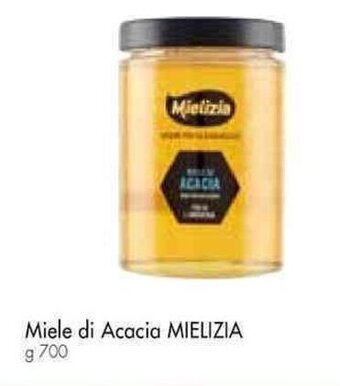 Galassia Miele di Acacia MIELIZIA g 700 offerta